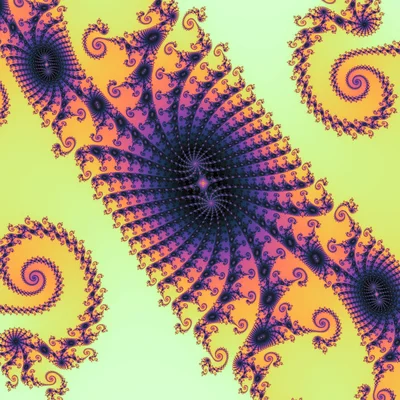 Seahorse Symmetry